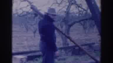 Sacramento California (1937): Men At A Forest Looking To Each Other