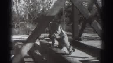 Sacramento California (1937): Man Stands On Top Of Wooden Tower On A Sunny Day