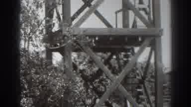 Sacramento California (1937): Windy Outside Daytime High Ladder Tree People Up