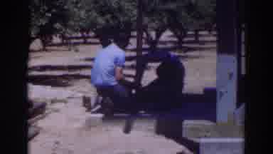 Sacramento California (1937): Two Middle Age Men Wearing Hats Place A Fence Post