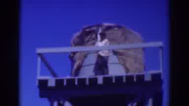 Sacramento California (1937): Performer Performing Its Task Among The Greater
