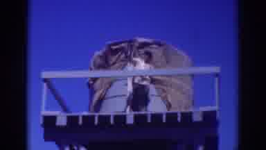 Sacramento California (1937): An Old Man Ora Very High Base With A Water Tank Of