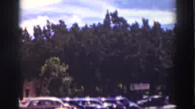 Truckee California (1937): Driving By A Very Large Row Of Trees