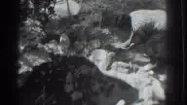 Vacaville California (1937): Woman Holding Bowl Of Water Over Artificial Pond