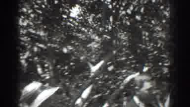 Vacaville California (1937): Two Young Women And A Man Having A Snack In An
