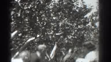 Vacaville California (1937): Garden Stand up Goldman