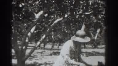Vacaville California (1937): Two Old Women Working Together Arranging Produce On