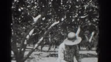 Vacaville California (1937): Man Wearing Black Suit Walks Behind Woman Wearing Tan