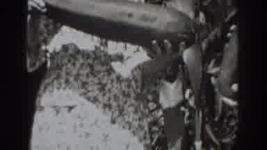Vacaville California (1937): Proud Gardeners Display A Zucchini And Partially