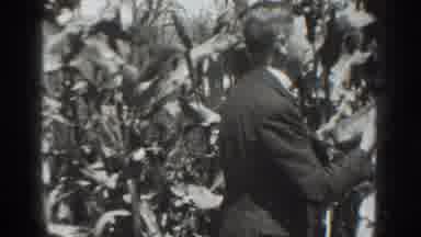 Vacaville California (1937): People Harvesting Produce In Black And White