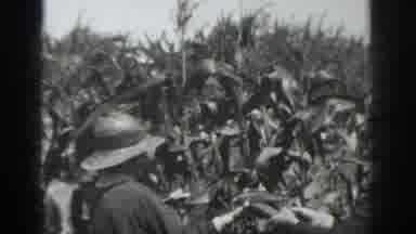 Vacaville California (1937): Two Women Explores The Cornfield