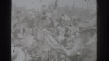 Vacaville California (1937): Black And White Film Of Unidentifiable Object And Man