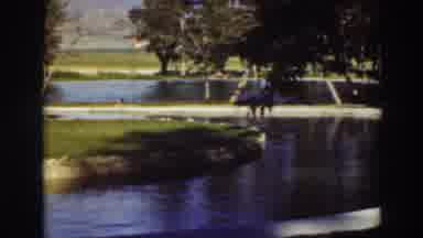 Virginia City California (1937): Sets Of Water In A Pool At A Park With Planted