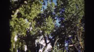 Virginia City California (1937): A Very Large House Is Hidden Among Many Very Tall