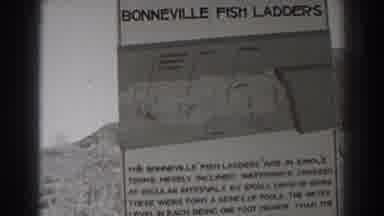 Bonneville Dam Oregon (1938): Older Black And White Bonneville Fish Ladders Sign