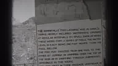 Bonneville Dam Oregon (1938): Learning About The Wildlife On An Informative Guide