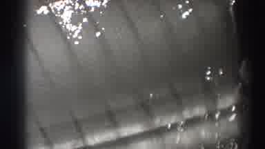 Bonneville Dam Oregon (1938): Fishes Swimming Along The Current Of Natural Cascade