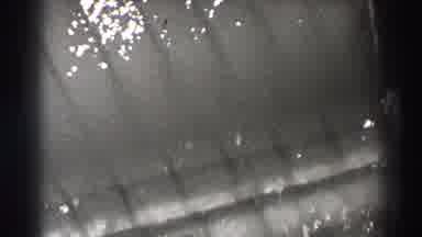 Bonneville Dam Oregon (1938): Two Fishes Swimming Along Current To Travel