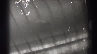Bonneville Dam Oregon (1938): A Fish Is Swimming Against The Waves In A Very