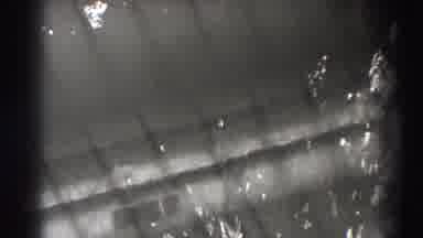 Bonneville Dam Oregon (1938): Black And White Video With Fish Passing Through The