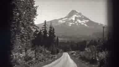 Bonneville Dam Oregon (1938): View Of Snow Covered Mountain Road And Trees On A