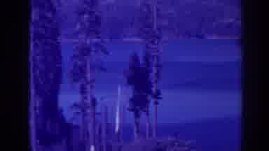 Bucks Lake California (1938): Buck Lake Northern California Plumes County Pines