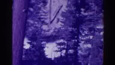 Bucks Lake California (1938): View Of River Rapids And Trees On A Clear Day