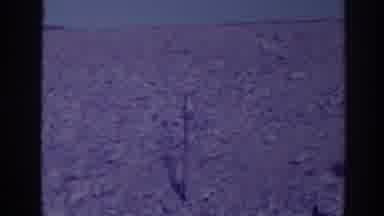 Bucks Lake California (1938): An Empty Barren Land