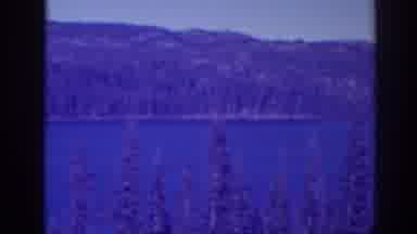 Bucks Lake California (1938): The Most Popular Lake Everyone Talks About
