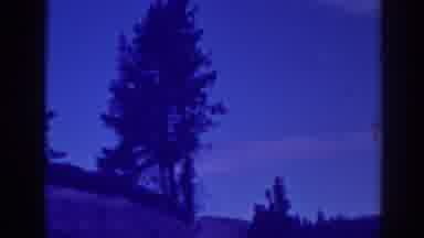 Bucks Lake California (1938): Dense Royal Purple Flash Light That Adds Beauty To