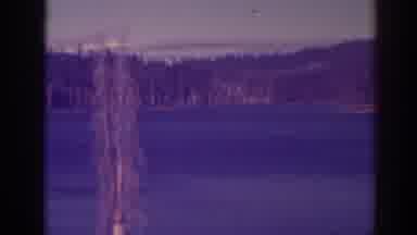 Bucks Lake California (1938): Beautiful Day While Man And Dog Explore The