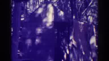Bucks Lake California (1938): Old And Grainy Video Of Person Coming Out Of Shed In
