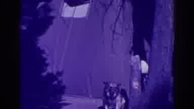 Bucks Lake California (1938): A German Shepherd Dog Standing Infraction To Wall