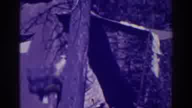 Bucks Lake California (1938): A Lady Is Stacking Piles Of Laundry Outside A