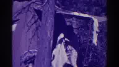 Bucks Lake California (1938): We Are Going To Wash All Of These Dirty Blankets In