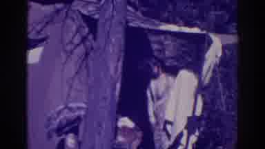Bucks Lake California (1938): Woman Camping With The Dog As A Companion And Her