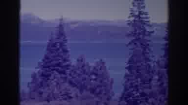 Bucks Lake California (1938): Valley Is Seen Below Through Trees Of A Forest On A