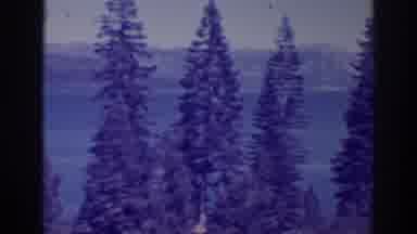 Bucks Lake California (1938): Naturally Beautiful Lake Near The Forest Surrounded