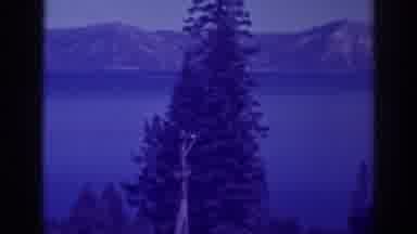 Bucks Lake California (1938): Pine Trees And Mountains Circle The Body Of Water