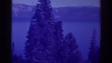Bucks Lake California (1938): Emerald Bay Tree Tops Sky Lake Mountains Inspiration