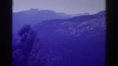 Lake Tahoe California (1938): View Of Misty Mountains And Tree On A Cloudy Day