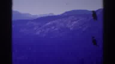Lake Tahoe California (1938): The White Lettering Says The Look Out Station In The