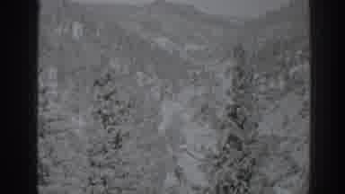 Oroville California (1938): Black And White Film Of Valley With Large Pine Trees