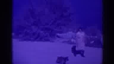 Oroville California (1938): Woman In Dress Walking Dog And A Lake Sign