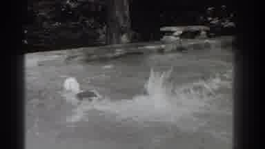 Southhampton New York (1937): Woman With Swimming Cap Swimming In A Pool In Black