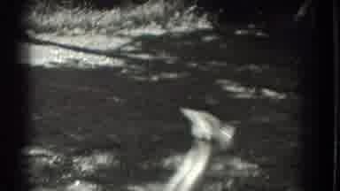 Southhampton New York (1937): Woman Laying In The Grass And Laughing While Her