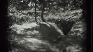 Southhampton New York (1937): Reunion Of Church Sisters And Playing Tag