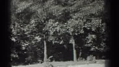Southhampton New York (1937): Farmer In The 1920s Collecting Crops In The Harsh