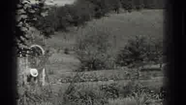 Southhampton New York (1937): White Rose Arch Trellis And Trees Planted In Rows On