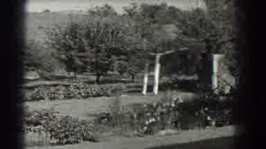 Southhampton New York (1937): Trees And Gardens On An Open Field In Black And